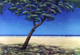 Pinie am Meer Blau, c.2000 Limited Edition by Folkert Rasch