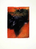 Stier Orange, c.2001 Limited Edition by Hans Richter