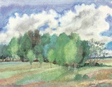 Landschaft mit Birken Limited Edition by Guenter Grass
