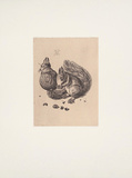 Eichhörnchen Prints by Albrecht Dürer