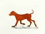 Paws Limited Edition by Sonia Rollo