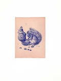 Eichhörnchen Blau/Altrosa Prints by Albrecht Dürer
