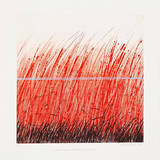 Sanft liegt der Horizont Limited Edition by Johannes Haider