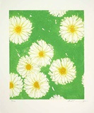 Gänseblümchen, c.2000 Limited Edition by Josef Hirthammer