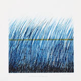Sanft liegt die Linie im Gras Limited Edition by Johannes Haider