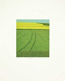Rapsfeld Limited Edition by Michael Rausch