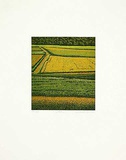Wiesen Limited Edition by Michael Rausch