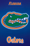 Florida Gators Logo NCAA Print