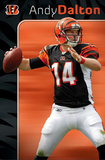 Cincinnati Bengals Andy Dalton Posters