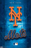 New York Mets Logo 2011 Print