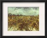 Van Gogh: Vineyard, 1888 Framed Giclee Print by Vincent van Gogh