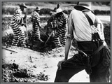 Georgia: Prisoners, 1941 Posters by Jack Delano