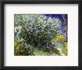 Van Gogh: Lilacs, 19Th C Innrammet Giclee-trykk av Vincent van Gogh Van Gogh: Lilacs, 19Th C Innrammet Giclee-trykk av Vincent van Gogh