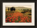 Hills of Tuscany I Framed Giclee Print by Steve Wynne