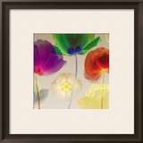 Poppy Panorama I Prints by Robert Mertens