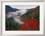 Autumn View of Fog from Morton Overlook, Great Smoky Mountains National Park, Tennessee, USA Framed Photographic Print by Adam Jones