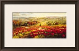 Red Poppy Panorama Prints by Roberto Lombardi