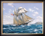 Lynx U.S. Privateer Framed Giclee Print by Roy Cross