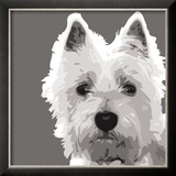 West Highland Terrier Posters by Emily Burrowes