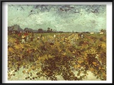Van Gogh: Vineyard, 1888 Print by Vincent van Gogh