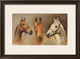 We Three Kings Prints by Susan Crawford
