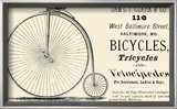 Bicycles, Tricycles, and Velocipedes Print