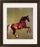 Whistlejacket, 1762 Framed Giclee Print by George Stubbs