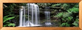 Rainforest, Mt. Field National Park, Tasmania, Australia Gerahmter Fotografie-Druck von Panoramic Images 