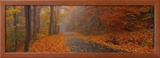 Autumn Road, Monadnock Mountain, New Hampshire, USA Framed Photographic Print by Panoramic Images 