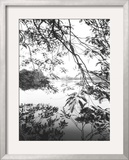 Hoan Kiem Lake View, Hanoi, Vietnam Framed Photographic Print by Walter Bibikow