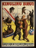 Ringling Bros, Poster, 1900 Print