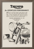 Triumph of Effortless Performance Print