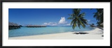 Palm Tree on the Beach, Moana Beach, Bora Bora, Tahiti, French Polynesia Gerahmter Fotografie-Druck von Panoramic Images 
