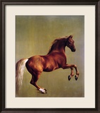 Whistlejacket, 1762 Ingelijste gicléedruk van George Stubbs
