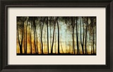Golden Forest Framed Giclee Print by Carolyn Reynolds
