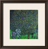 Roses Under the Trees, circa 1905 Framed Giclee Print by Gustav Klimt