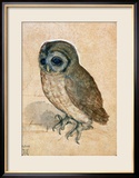 Sreech-Owl, 1508 Gerahmter Giclée-Druck von Albrecht Dürer