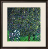 Roses Under the Trees, circa 1905 Estampe encadrée par Gustav Klimt