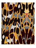 Orange Icicle Giclee Print by Belen Mena