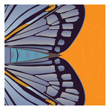 Tangerine Iris Giclee Print by Belen Mena