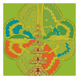 Lime Green Zuca Fantasy Giclee Print by Belen Mena
