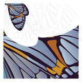 Iris Moth Design Giclee Print by Belen Mena