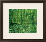 Woods and Undergrowth, c.1887 Framed Giclee Print by Vincent van Gogh