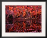 Fall Colours Reflected in the River, Vermont, USA Impressão fotográfica emoldurada por Mark Newman