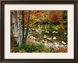 Swift River with Aspen and Maple Trees in the White Mountains, New Hampshire, USA Framed Photographic Print by Darrell Gulin
