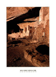 Mesa Verde National Park (Cliff Palace Dwellings) Art Poster Print Posters
