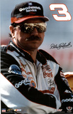 Dale Earnhardt (Portrait) Sports Poster Print Posters