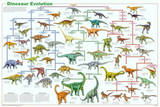 Dinosaur Evolution Educational Science Chart Poster Pôsteres