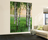 Nordic Forest Huge Wall Mural Art Print Poster Mural Nordic Forest Huge Wall Mural Art Print Poster Mural