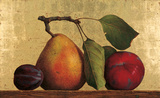 Kindness Prints by Robert Ginder